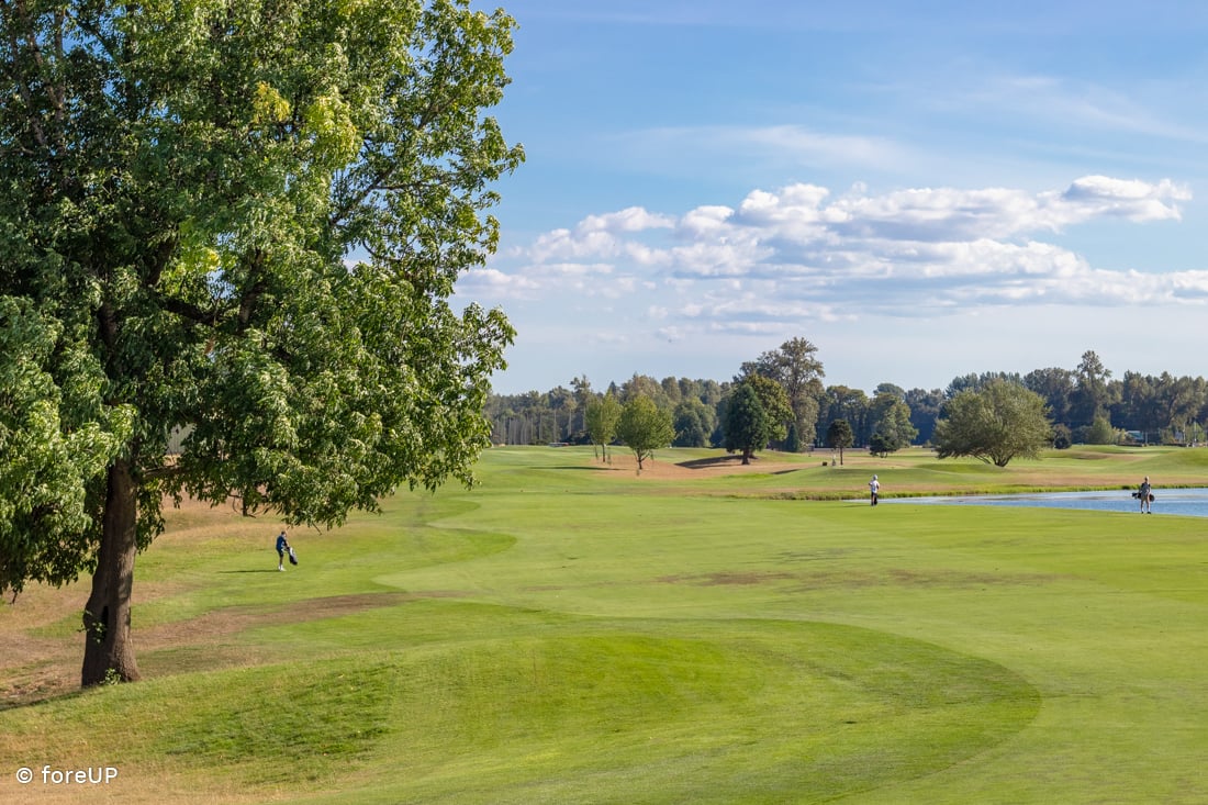 Trysting Tree Golf Club Corvallis Oregon foreUP